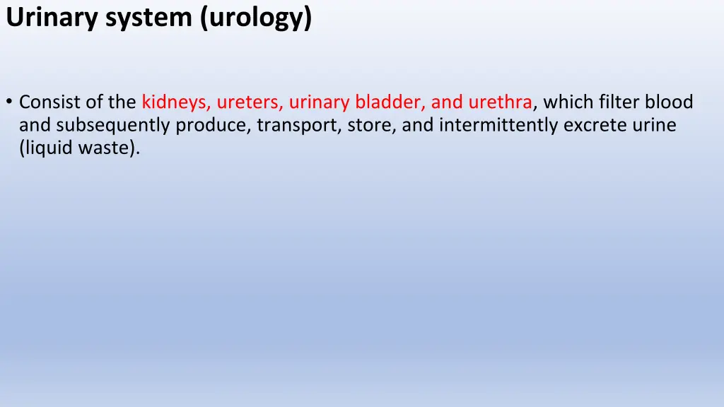 urinary system urology