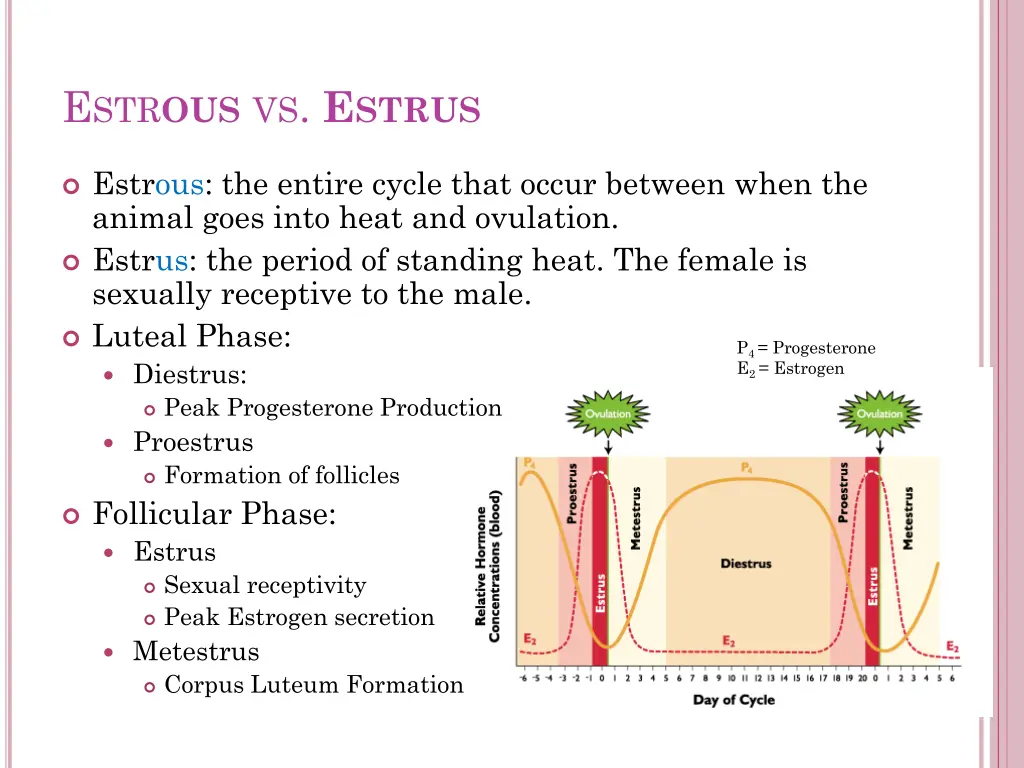 e str ous vs e strus