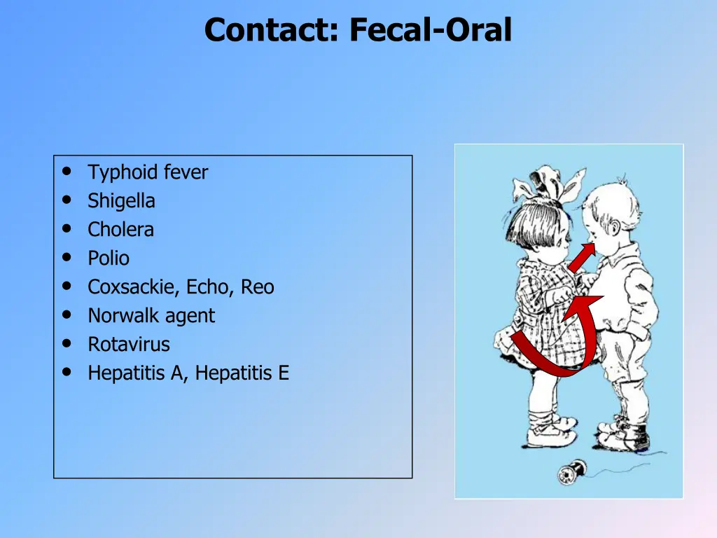 contact fecal oral 1