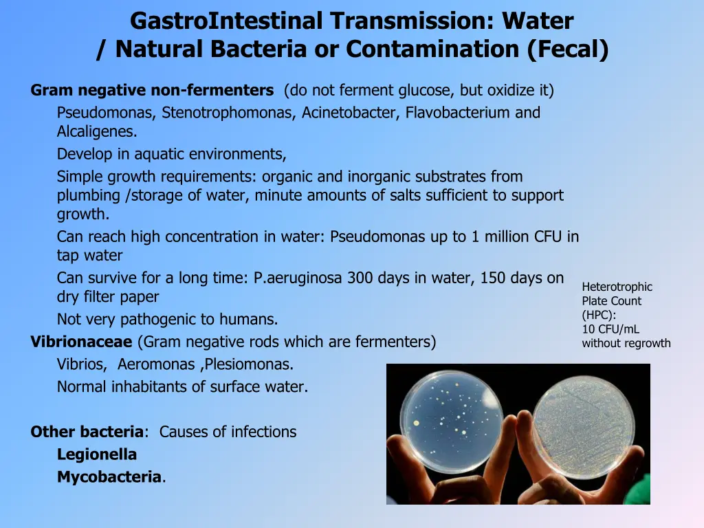 gastrointestinal transmission water natural