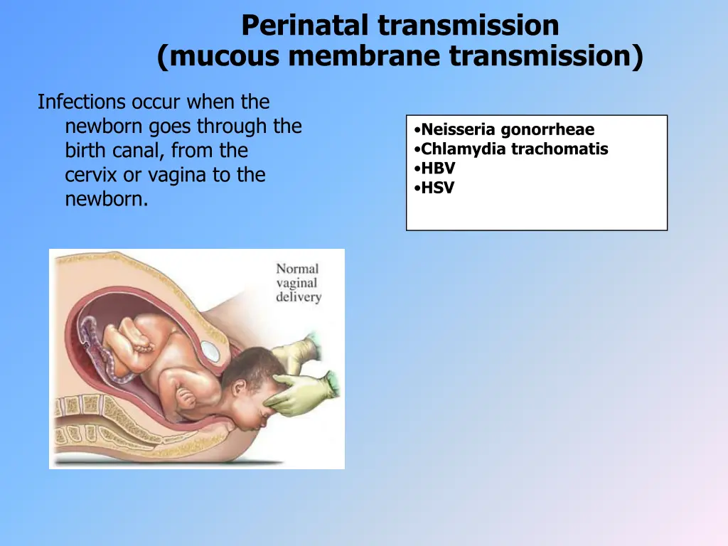 perinatal transmission mucous membrane