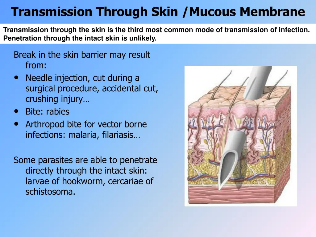 transmission through skin mucous membrane