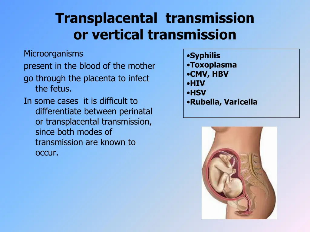 transplacental transmission or vertical