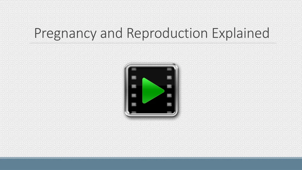 pregnancy and reproduction explained