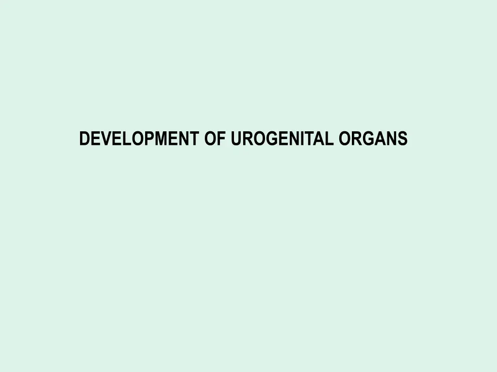 development of urogenital organs