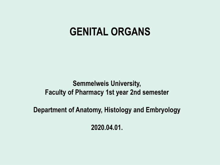 genital organs