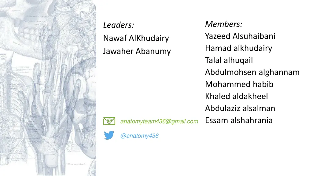 members yazeed alsuhaibani hamad alkhudairy talal