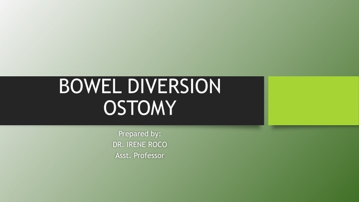 bowel diversion ostomy