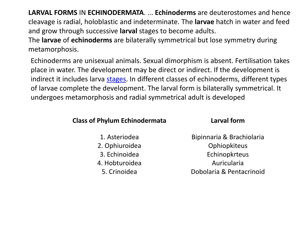 larval forms in echinodermata echinoderms