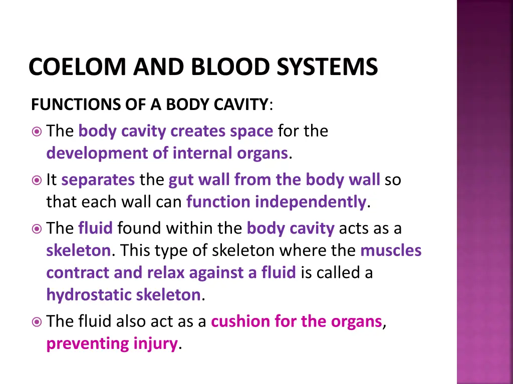 coelom and blood systems 4