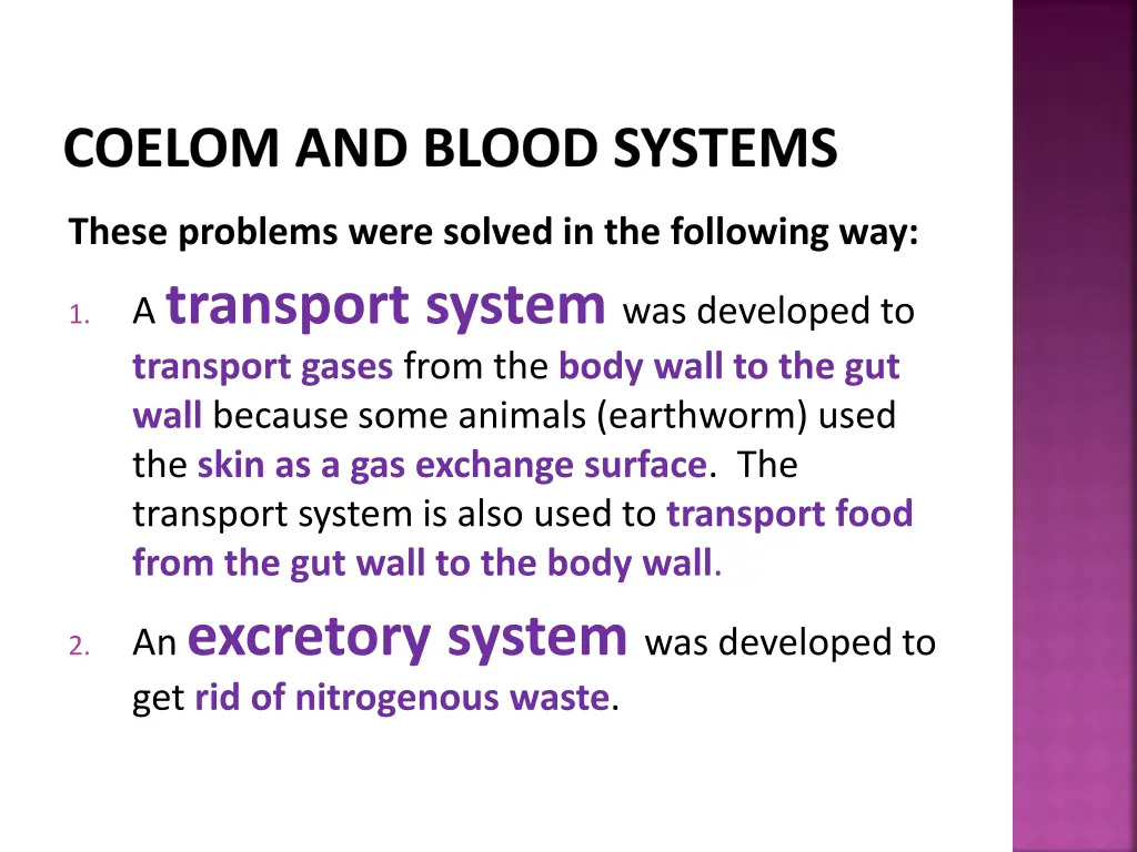 coelom and blood systems 6