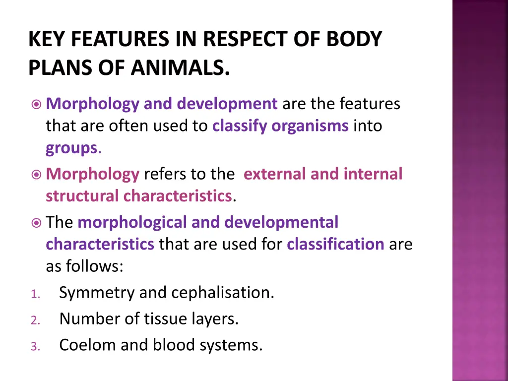 key features in respect of body plans of animals