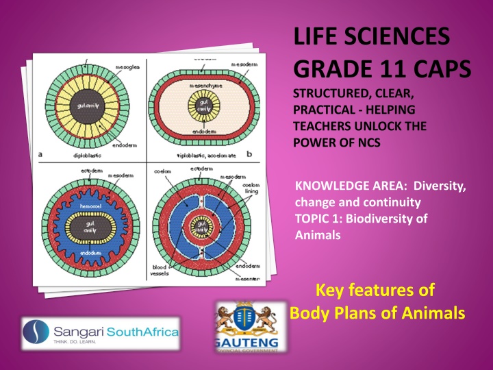 life sciences grade 11 caps structured clear