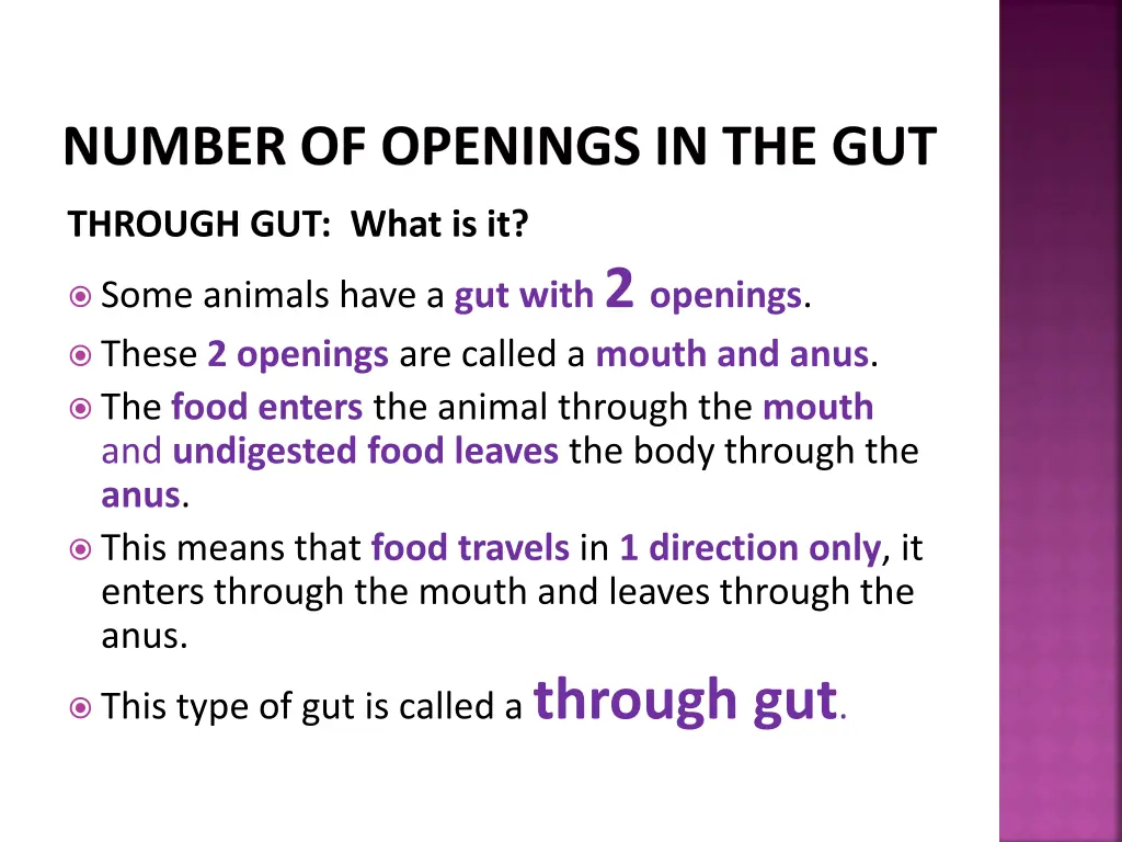 number of openings in the gut 2