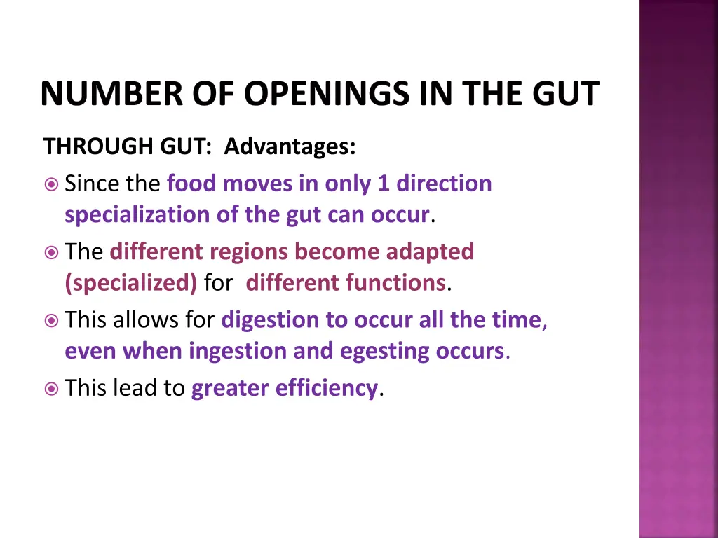 number of openings in the gut 3