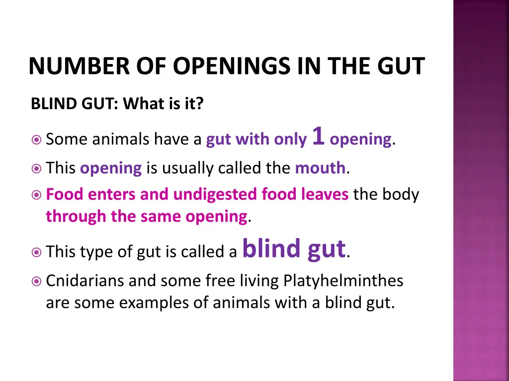 number of openings in the gut