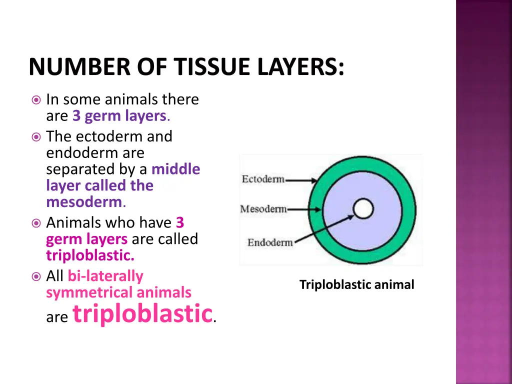 number of tissue layers 1