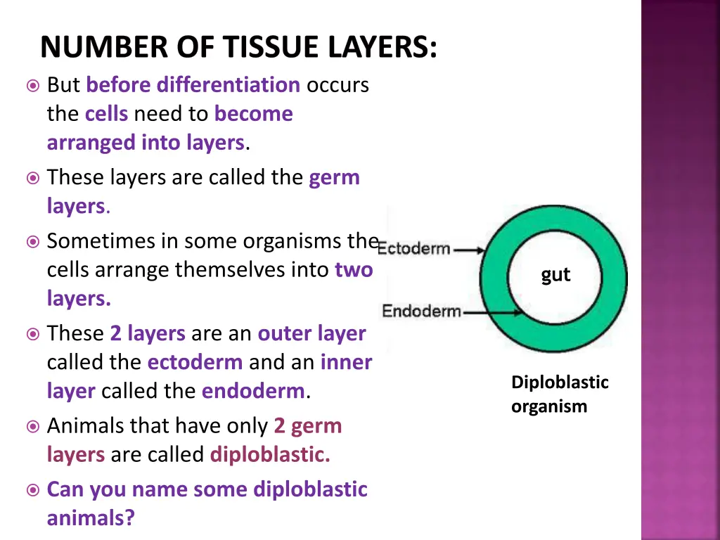 number of tissue layers but before