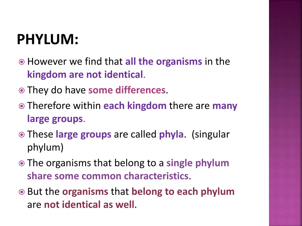 phylum 1