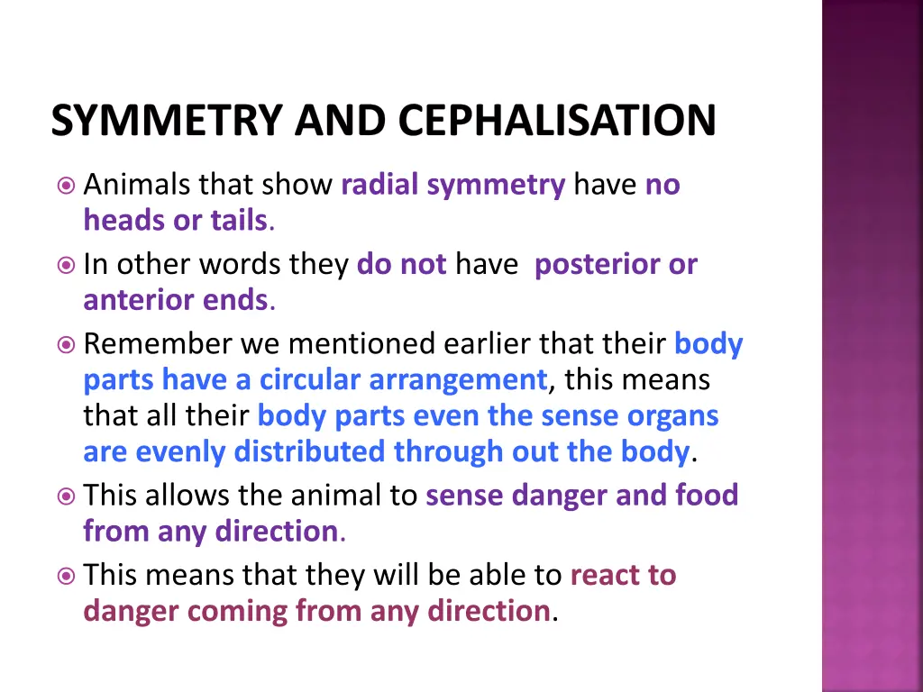 symmetry and cephalisation 2