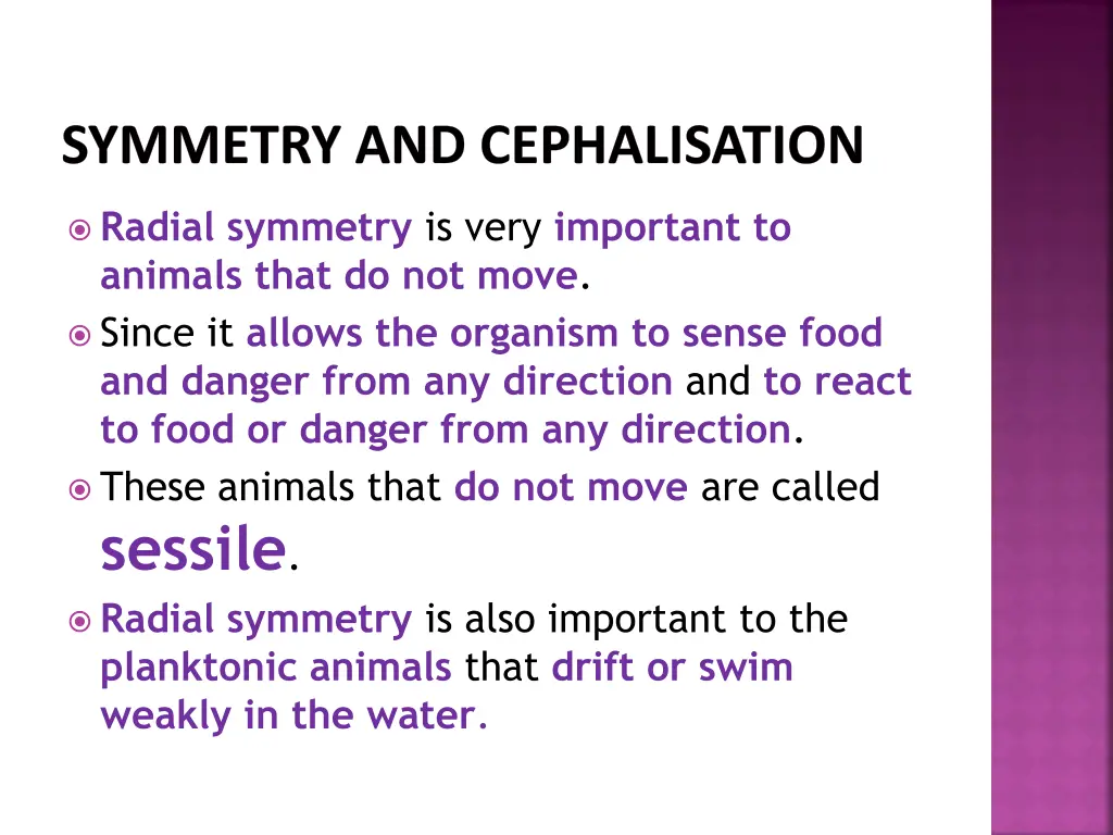 symmetry and cephalisation 3