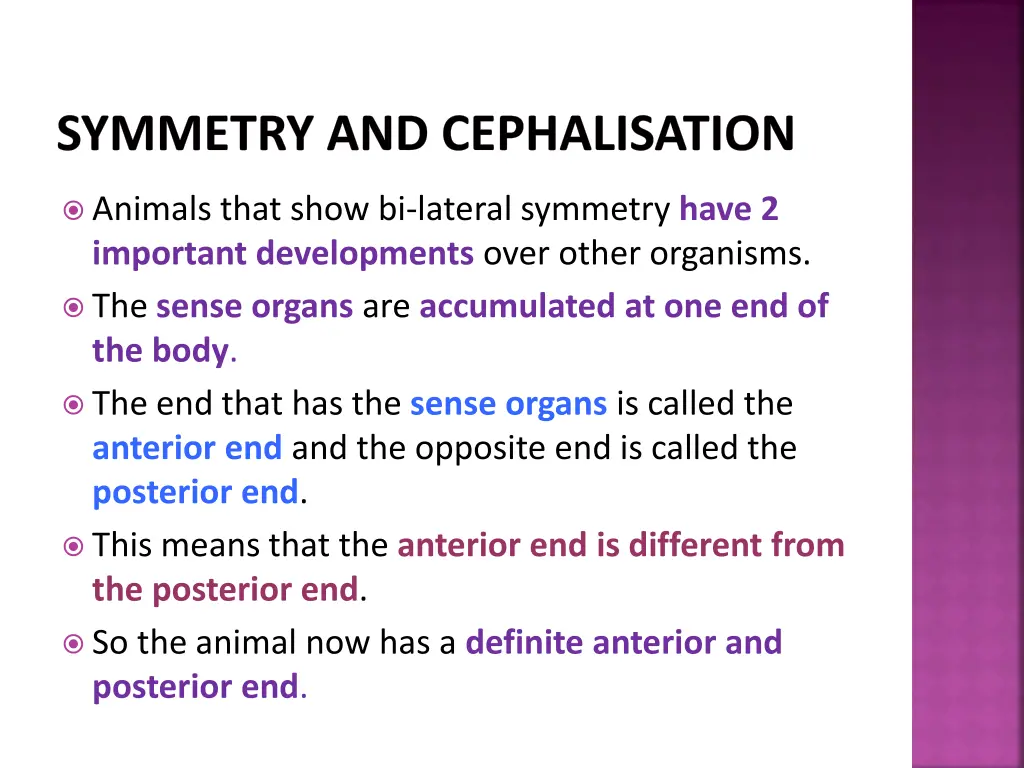 symmetry and cephalisation 5