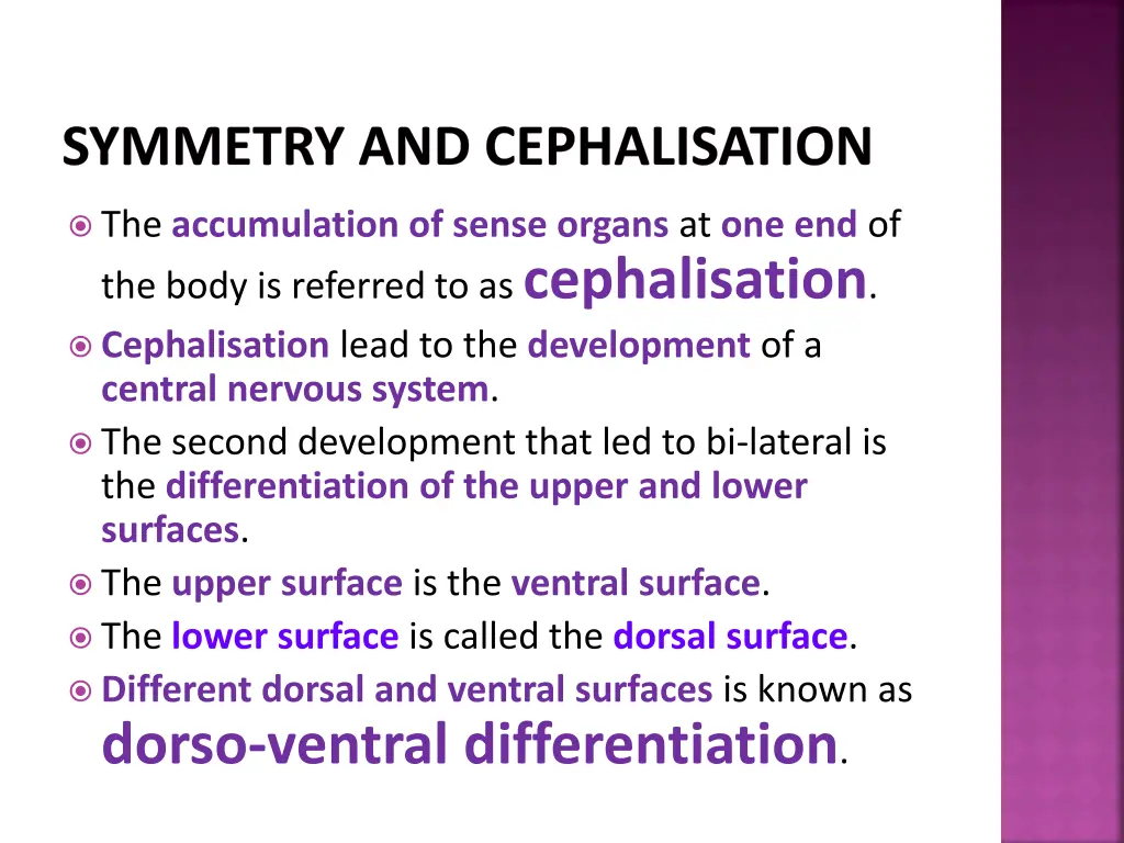 symmetry and cephalisation 6