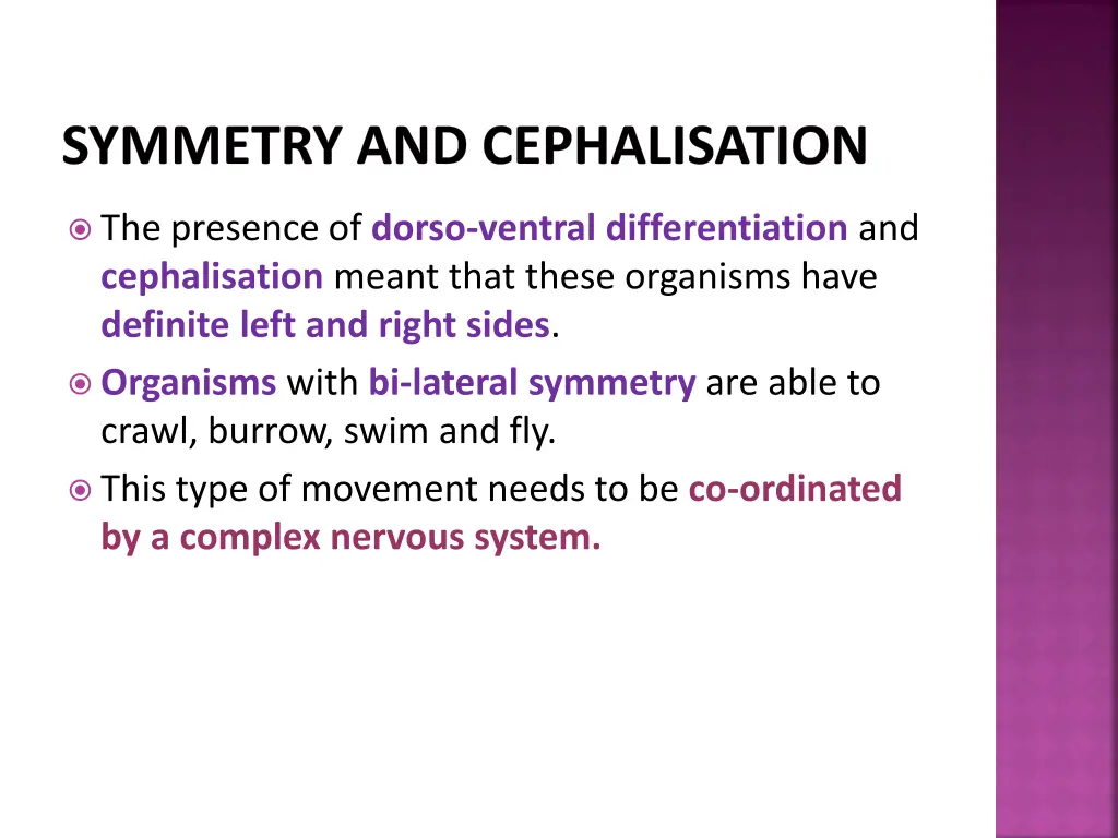 symmetry and cephalisation 7