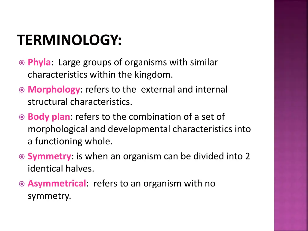 terminology