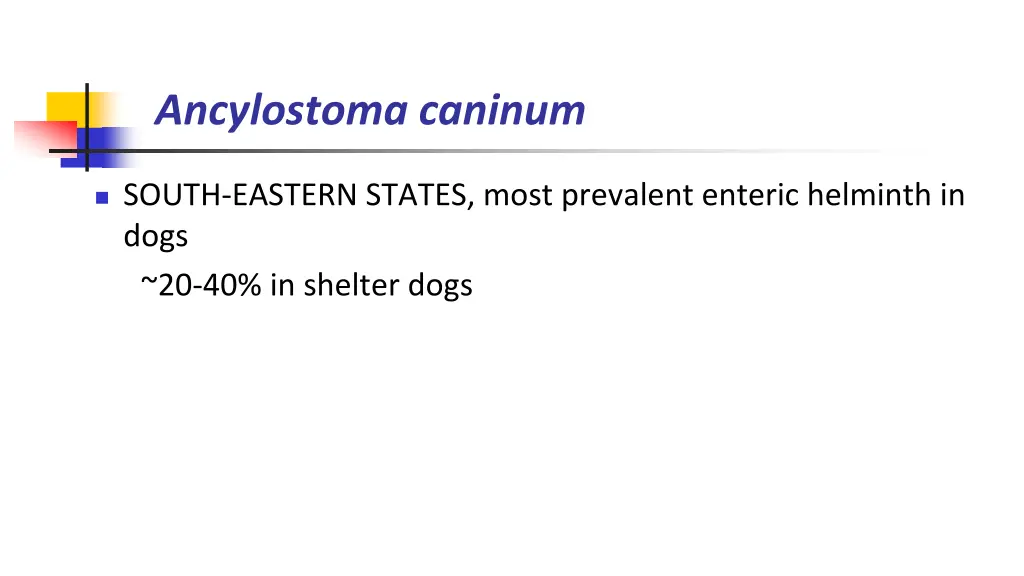 ancylostoma caninum