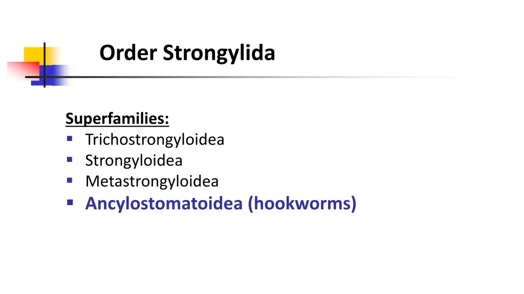 order strongylida