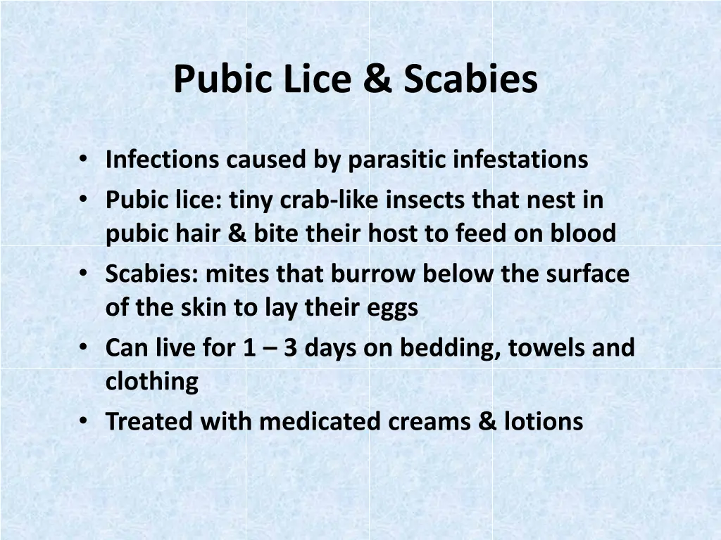 pubic lice scabies