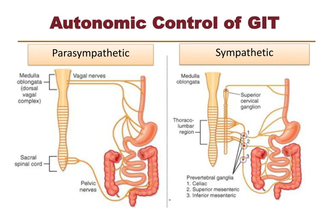 autonomic control of git autonomic control of git