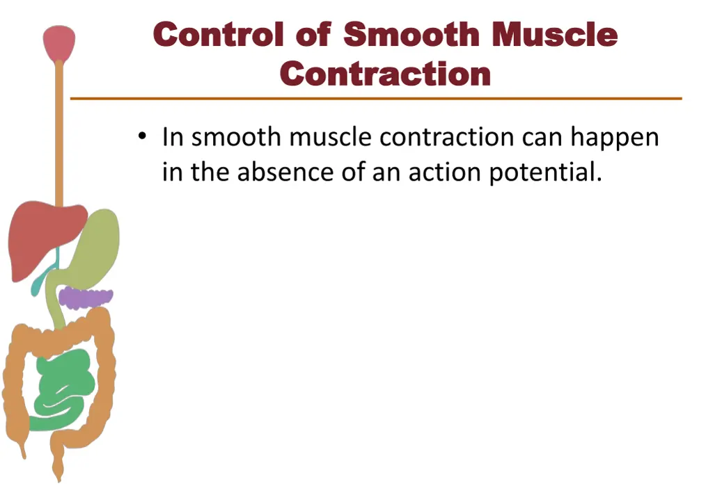 control of smooth muscle control of smooth muscle 1