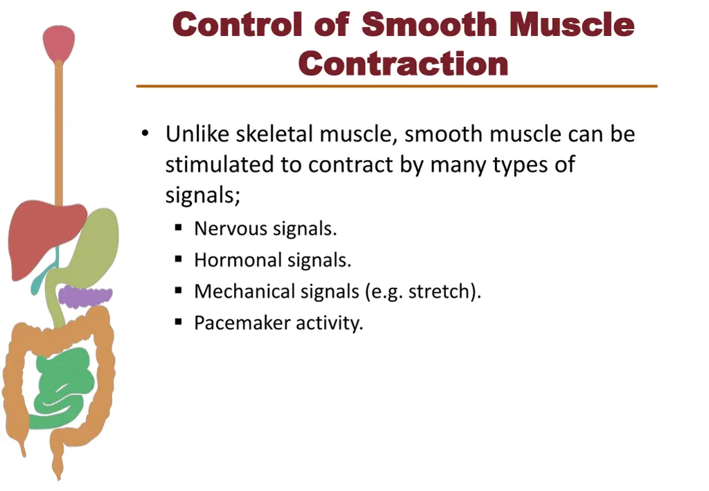 control of smooth muscle control of smooth muscle