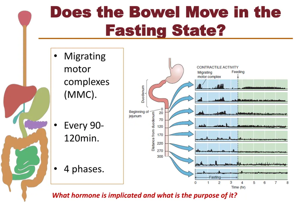 does the bowel move in the does the bowel move