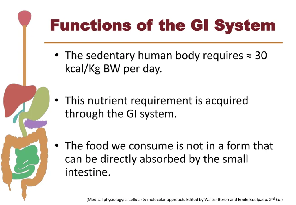 functions of the gi system functions