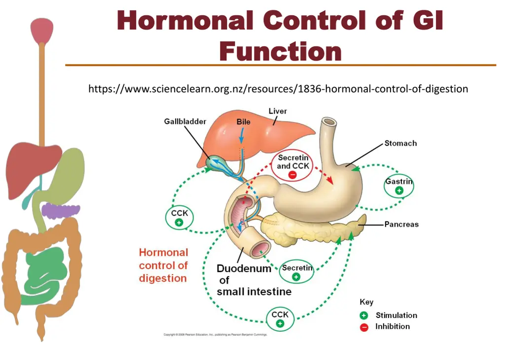 hormonal control of gi hormonal control