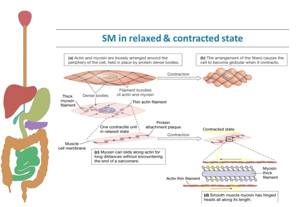 slide16