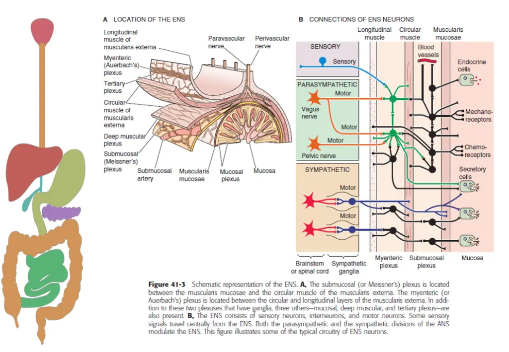 slide33