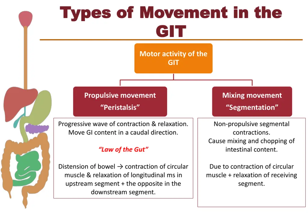 types of movement in the types of movement