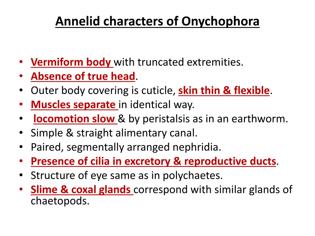 annelid characters of onychophora