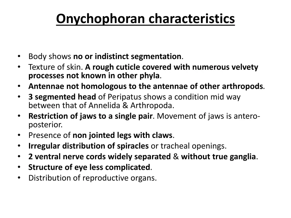 onychophoran characteristics