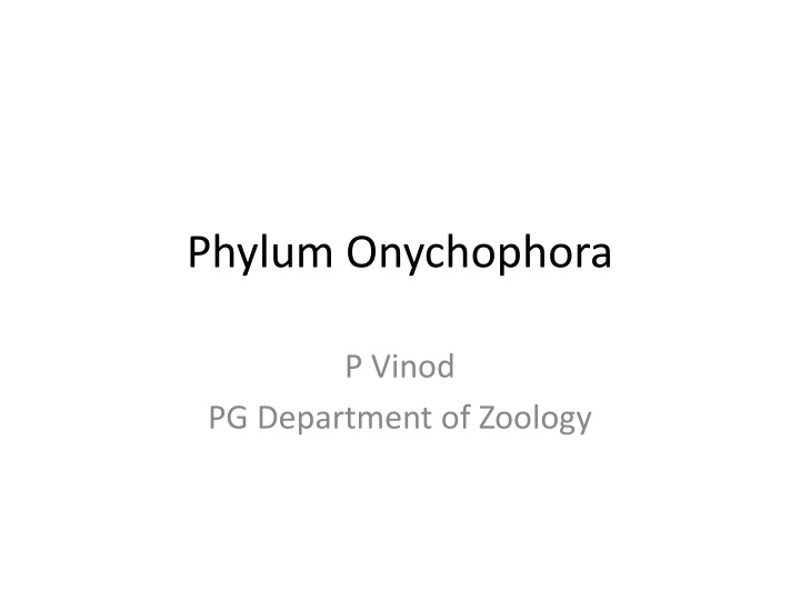 phylum onychophora