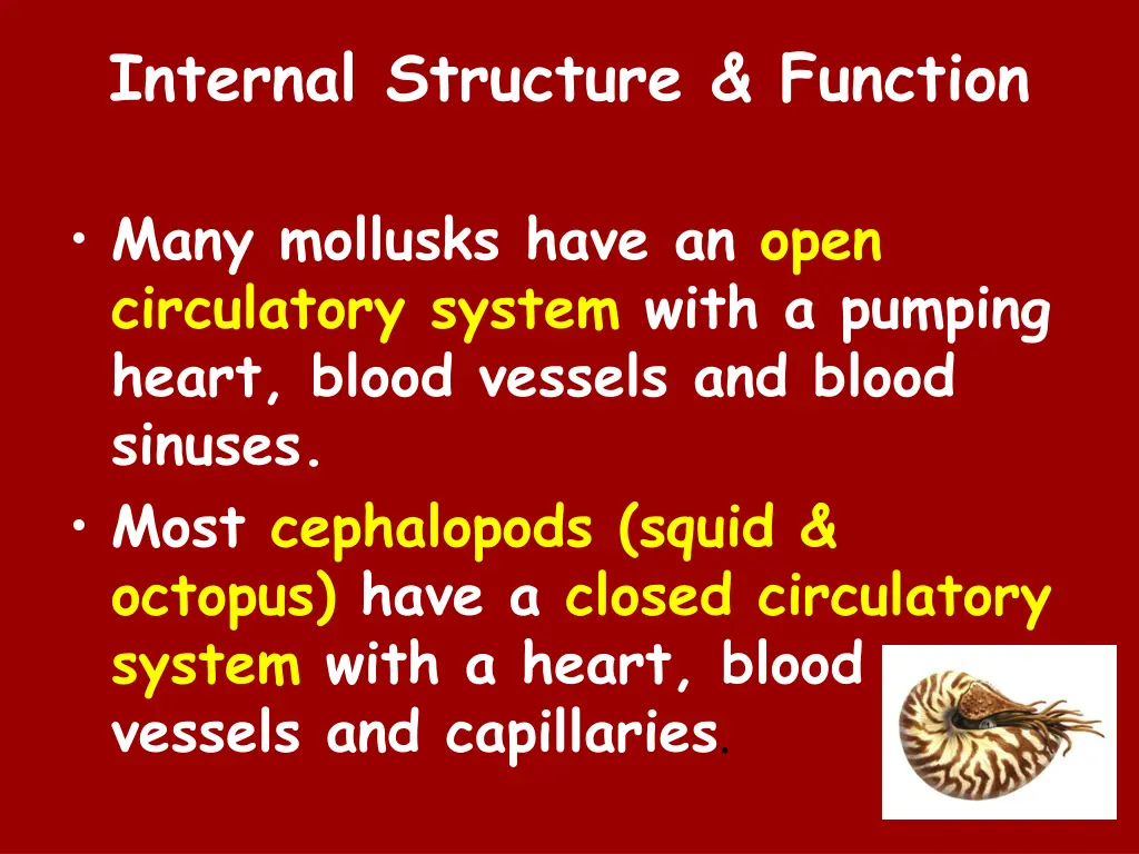 internal structure function