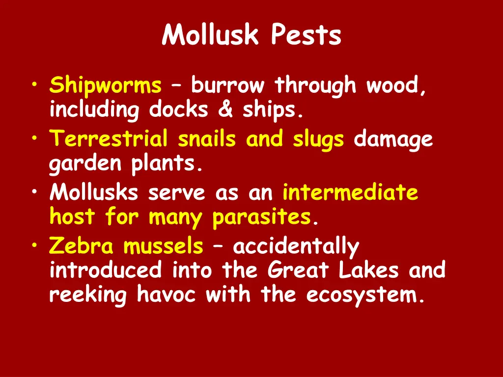 mollusk pests