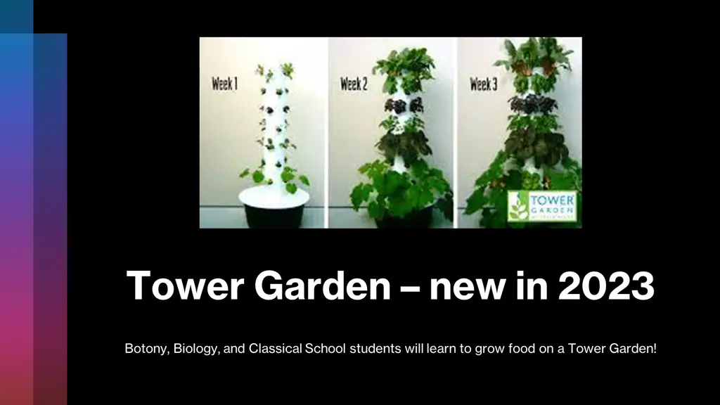 tower garden new in 2023