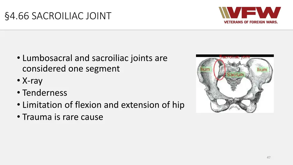 4 66 sacroiliac joint