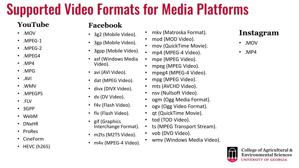 supported video formats for media platforms