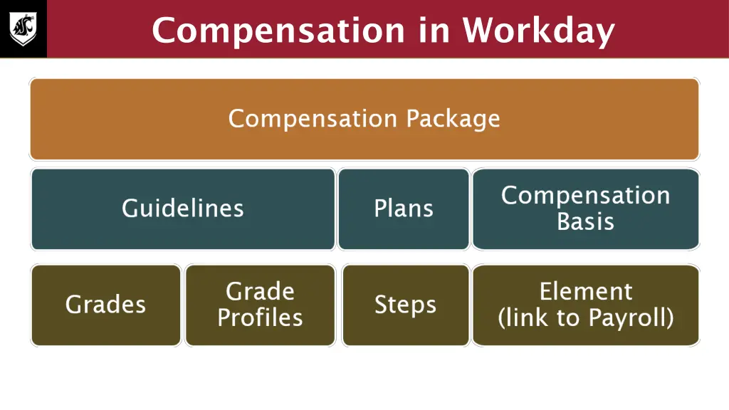 compensation in workday